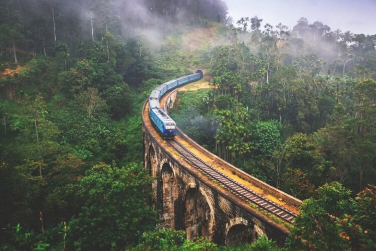 новость 31-01-2023 Экскурсионный отдых на Шри-Ланке стал бронироваться чаще