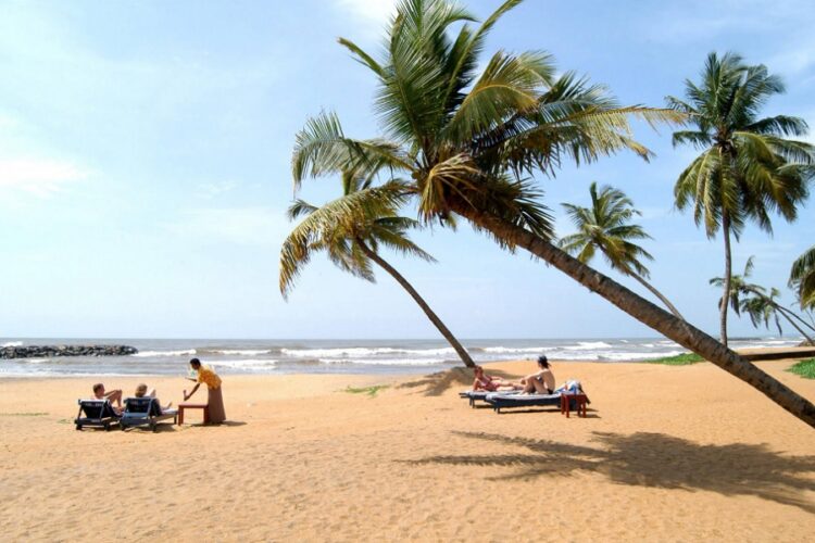 новость 10-01-2023 Благодаря российским туристам турпоток на Шри-Ланку вырос в 3 раза