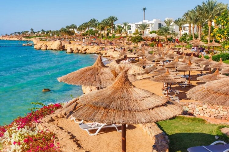 новость 25-01-2023 Египет лидирует по продажам среди зарубежных направлений