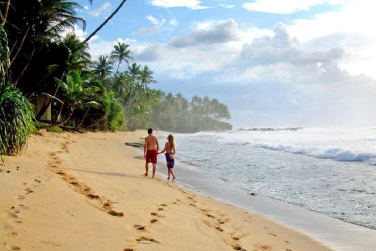 новость 16-01-2023 для Шри-Ланки