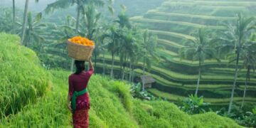 новость 13-02-2023 Турпоток из РФ в Индонезию по итогам 2022 года восстановился на 50%