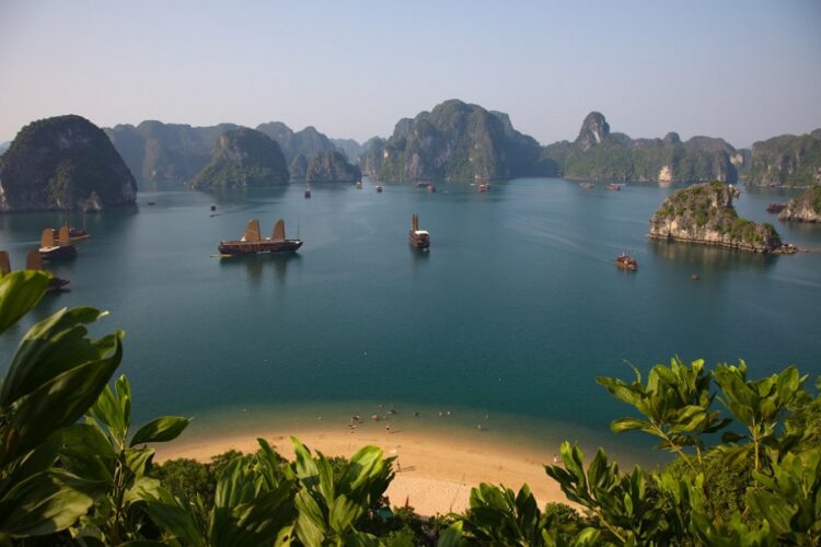 новость 10-03-2023 ПАКС в этом году будет ставить на страны ЮВА и Россию