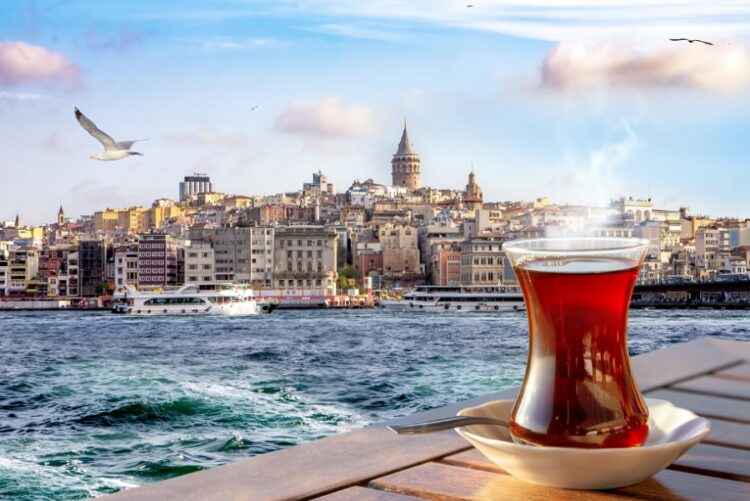 новость 13-03-2023 Какие направления будут популярны у российских туристов этим летом