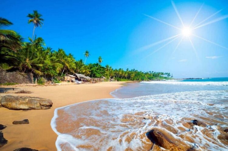 новость 17-04-2023 Отдых на Шри-Ланке на майские праздники все еще можно успеть приобрести