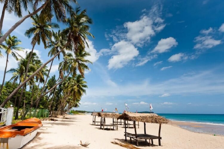 новость 11-04-2023 Туроператоры рассказали об устойчивом спросе на Шри-Ланку