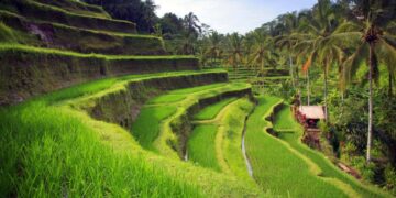 новость 13-06-2023 На Бали - без вакцинного паспорта