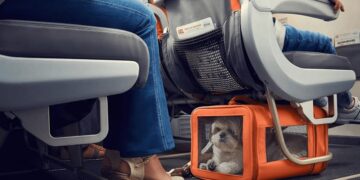 новость 19-06-2023 Правила перевозки животных в самолетах