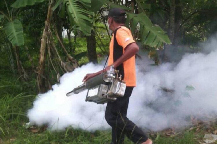 новость 26-07-2023 В Таиланде резко растет заболеваемость лихорадкой денге