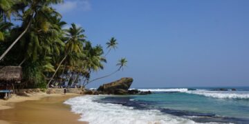 новость 29-07-2023 АНЕКС запускает полетную программу на Шри-Ланку