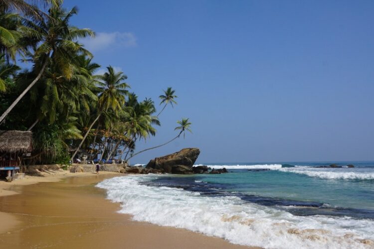 новость 29-07-2023 АНЕКС запускает полетную программу на Шри-Ланку