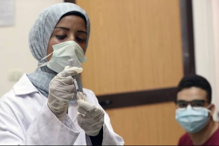 новость 21-07-2023 В Египте подтвердились случаи лихорадки Денге