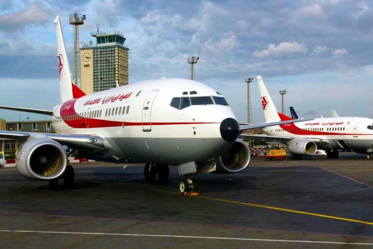 новость 17-07-2023 Заинтересуют ли россиян рейсы Петербург-Алжир