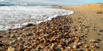 новость 29-08-2023 Сколько будет стоить отдых на Каспийском побережье в сентябре