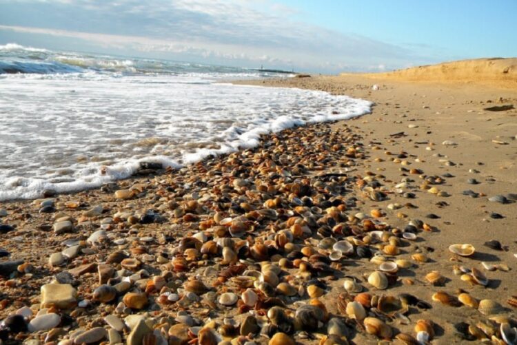 новость 29-08-2023 Сколько будет стоить отдых на Каспийском побережье в сентябре