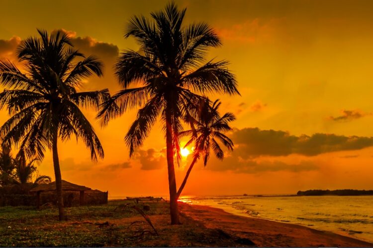 новость 21-08-2023 "Аэрофлот" нарастит частоту рейсов на Шри-Ланку