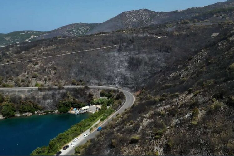 новость 02-08-2023 Выжженная земля и покрытые пеплом пляжи - так сегодня выглядит Родос