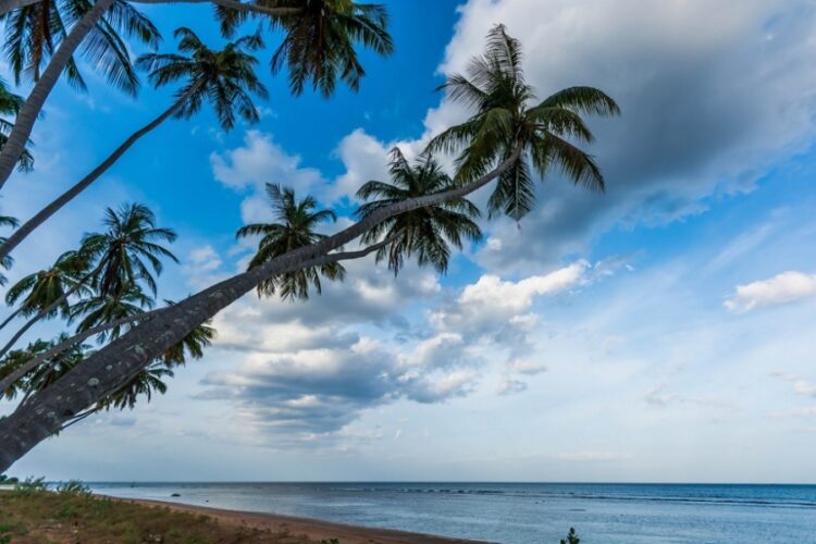 новость 22-08-2023 К городам вылета на Шри-Ланку добавились еще четыре