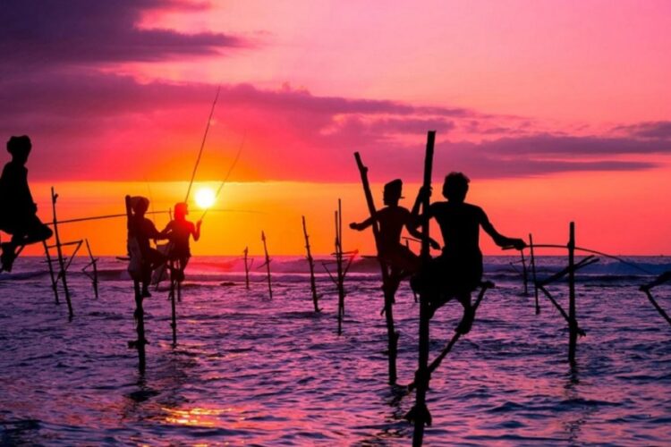 новость 06-10-2023 Туроператоры будут ставить туры на Шри-Ланку на рейсах Jazeera Airways