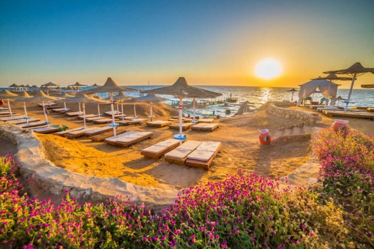 новость 24-10-2023 От чего зависит стоимость туров в Египет