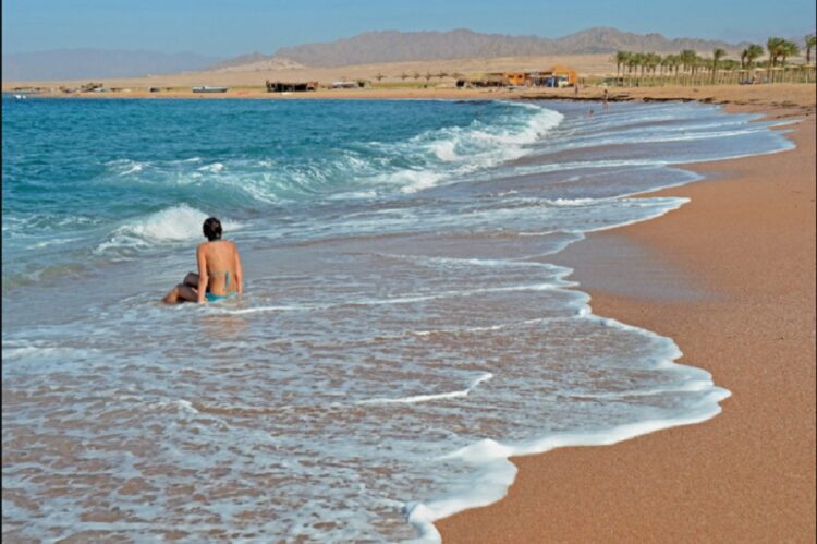 новость 20-10-2023 В FUN&SUN рассказали как продаются ноябрьские туры