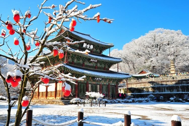 новость 24-11-2023 Число иностранных туристических прибытий в Японию выросло. Сколько будут стоить туры?