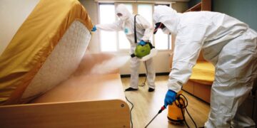 новость 10-11-2023 Южная Корея заявила о необходимости борьбы с клопами