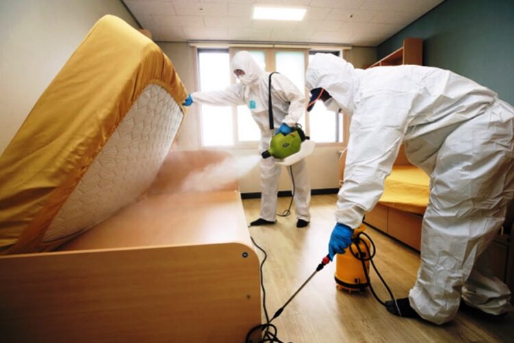 новость 10-11-2023 Южная Корея заявила о необходимости борьбы с клопами