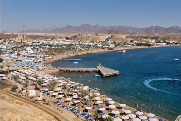 новость 23-11-2023 Один из туристических агентов рассказал о снижении цен на новогодние авиабилеты