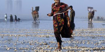 новость 28-11-2023 Поедут ли туристы в Пакистан, если возобновятся прямые авиарейсы