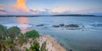 новость 23-01-2024 Сколько стоят туры на Шри-Ланку в феврале