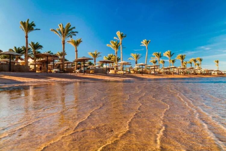 новость 19-01-2024 Отдых в Египте подешевел на 20-30%