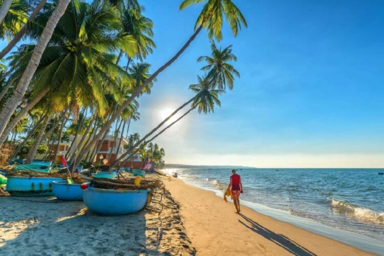 новость 08-01-2024 Когда возобновится прямая авиаперевозка между РФ и Вьетнамом