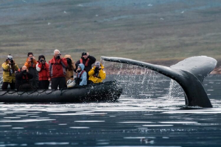 новость 11-01-2024 Почему российские туристы не едут на Чукотку