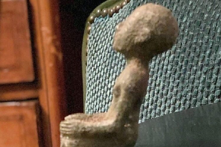 новость 13-02-2024 В Египте туристку держали 8 суток в полицейском участке