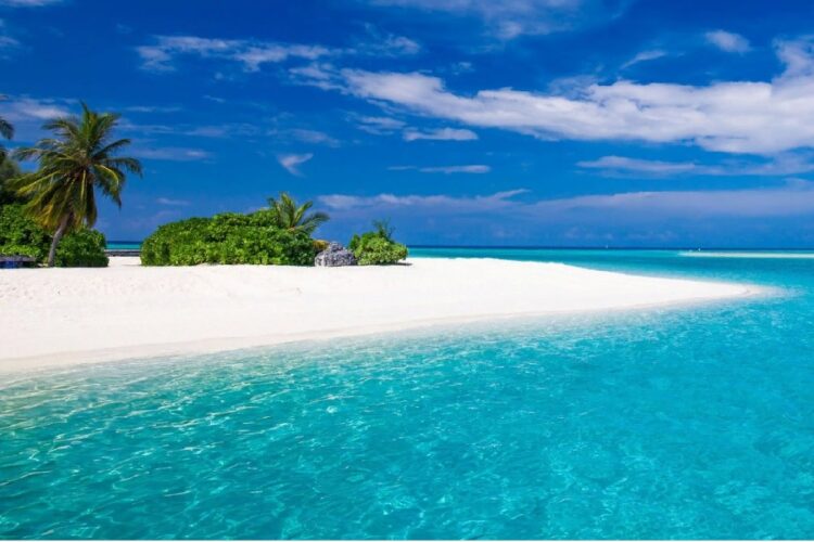 новость 20-02-2024 Спрос на остров Занзибар вырос в полтора раза