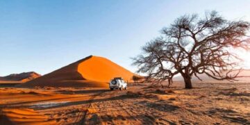 новость 11-03-2023 Намибия будет работать над увеличением российского турпотока