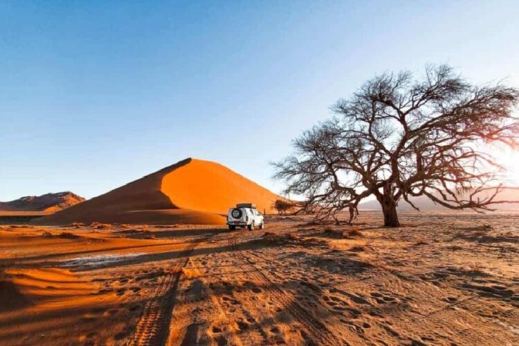 новость 11-03-2023 Намибия будет работать над увеличением российского турпотока