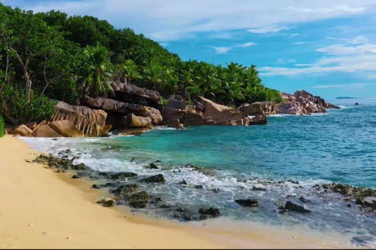 новость 13-03-2024 Российский турпоток на острова Индийского океана