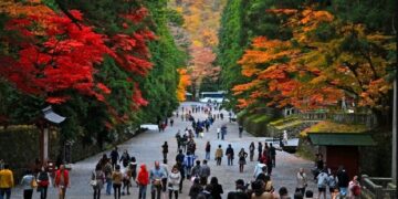 новость 11-04-2024 Туроператоры заявляют об увеличении спроса на Японию