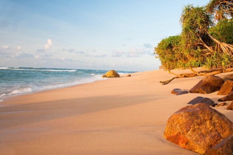 новость 20-05-2024 Отдых на Шри-Ланке стоит дешевле перелета