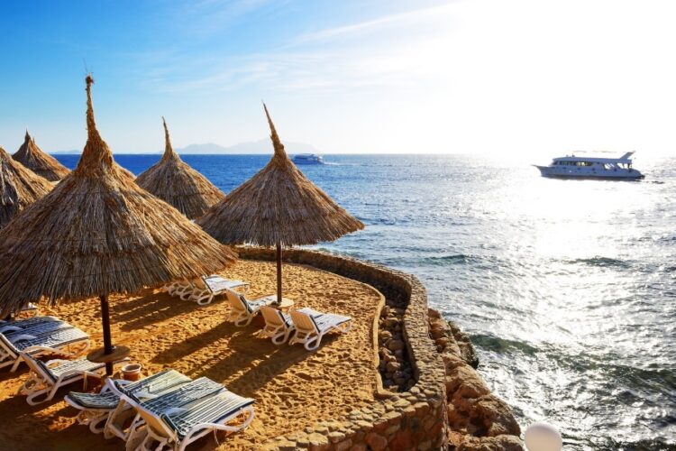 новость 23-07-2024 Крупный туроператор заявил о расширении полетных программ