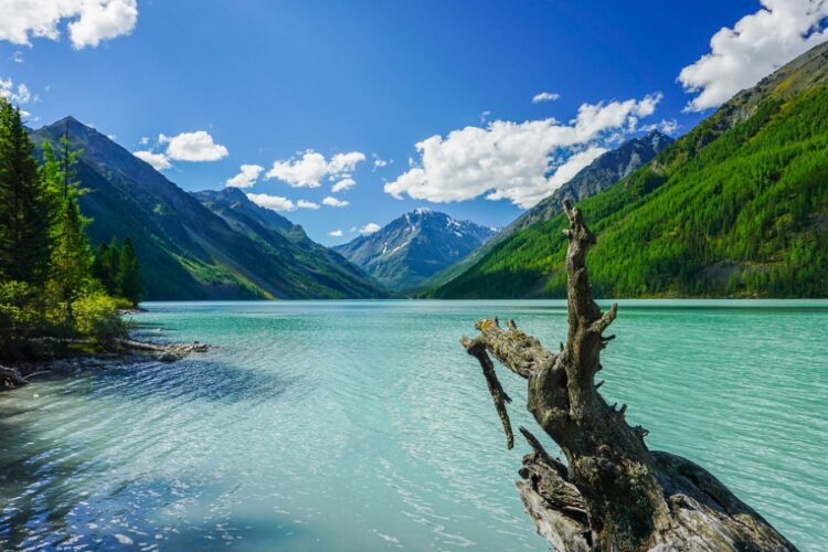 новость 29-07-2024 Туристы стали больше интересоваться летними поездками на Алтай