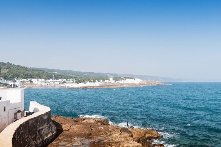 новость 29-08-2024 Алжир планирует нарастить турпоток в пять раз