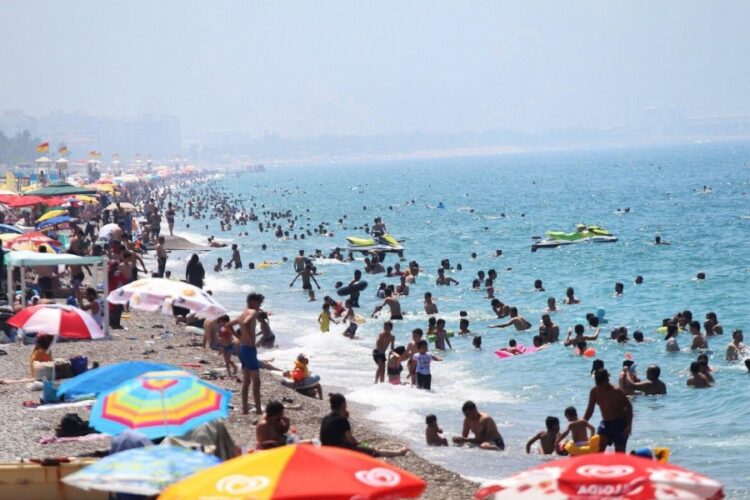 новость 30-08-2024 На пять стран приходится более 3/4 всех продаж в сентябре