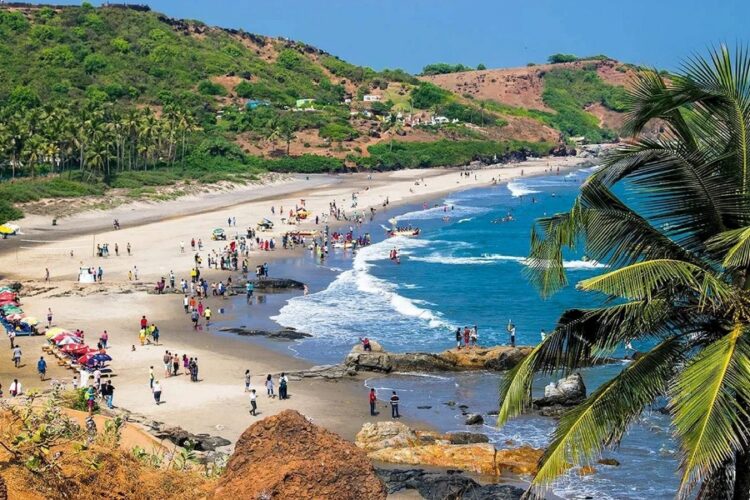 новость 22-08-2024 Зимой АНЕКС запустит чартерные рейсы в Гоа