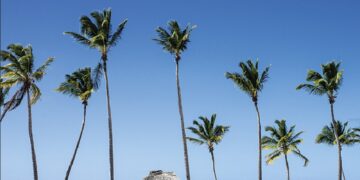 новость 17-09-2024 Как российские туристы добираются до Доминиканы