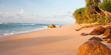 новость 30-10-2024 Сколько будут стоить новогодние туры на Шри-Ланку и в Гоа