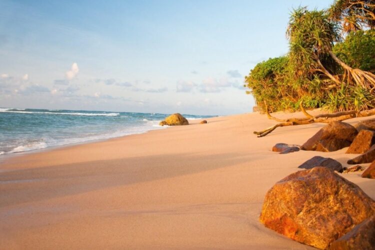 новость 30-10-2024 Сколько будут стоить новогодние туры на Шри-Ланку и в Гоа