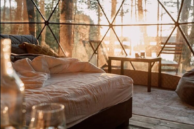 новость 28-10-2024 Сколько будет стоить отдых в отелях Московской области в ноябре