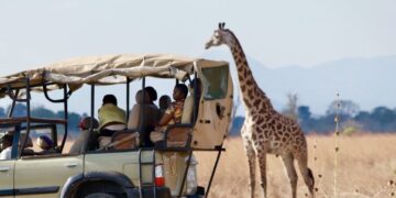 новость 03-10-2024 Сколько будут стоить туры в Африку этой зимой